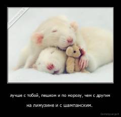 лучше с тобой, пешком и по морозу, чем с другим - на лимузине и с шампанским. 