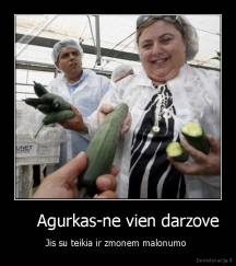     Agurkas-ne vien darzove - Jis su teikia ir zmonem malonumo 