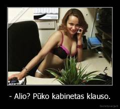 - Alio? Pūko kabinetas klauso. - 