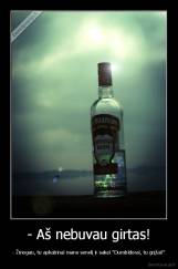 - Aš nebuvau girtas! - - Žmogau, tu apkabinai mano senelį ir sakei "Dumbldorai, tu grįžai!"