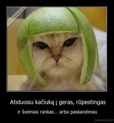  Atiduosiu kačiuką į geras, rūpestingas - ir švelnias rankas... arba paskandinsiu