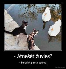 - Atnešėt žuvies? - - Parodyk pirma batoną