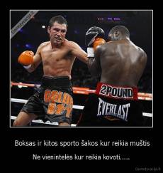  Boksas ir kitos sporto šakos kur reikia muštis - Ne vienintelės kur reikia kovoti.....