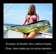 - Brangioji, aš šiandien einu į naktinę žvejybą. - - Žinau. Viena lydeka jau tris kartus skambino.