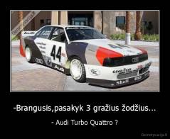 -Brangusis,pasakyk 3 gražius žodžius... - - Audi Turbo Quattro ?
