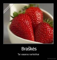  Braškės - Tai vasaros narkotikai