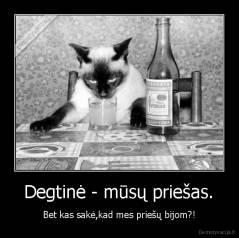  Degtinė - mūsų priešas.  - Bet kas sakė,kad mes priešų bijom?!