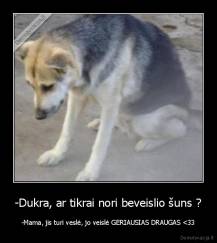 -Dukra, ar tikrai nori beveislio šuns ? - -Mama, jis turi veslė, jo veislė GERIAUSIAS DRAUGAS 