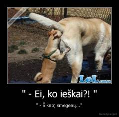 " - Ei, ko ieškai?! " - " - Šiknoj smegenų..."