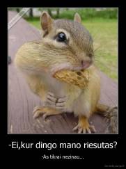 -Ei,kur dingo mano riesutas? - -As tikrai nezinau...