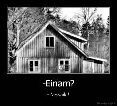 -Einam? - - Nesvaik !