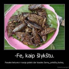 -Fe, kaip šlykštu. - Pasakė lietuvis ir nuėjo įsidėti dar kiaulės žarnų, prikištų bulvių.