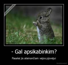 - Gal apsikabinkim? - Pasakė jis ateinančiam vejos pjovėjui