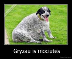  Gryzau is mociutes - 