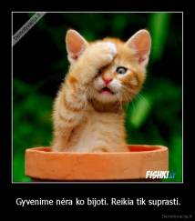  Gyvenime nėra ko bijoti. Reikia tik suprasti. - 