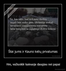  Hm, važiuoklė kainuoja daugiau nei papai - 