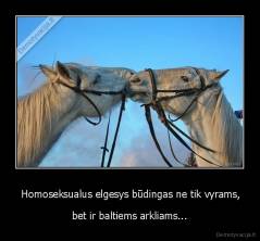  Homoseksualus elgesys būdingas ne tik vyrams, - bet ir baltiems arkliams...