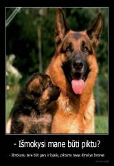 - Išmokysi mane būti piktu? - - Išmokysiu tave būti geru ir lojaliu, piktumo tavęs išmokys žmonės