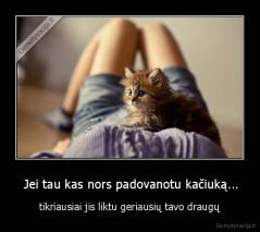  Jei tau kas nors padovanotu kačiuką... - tikriausiai jis liktu geriausių tavo draugų
