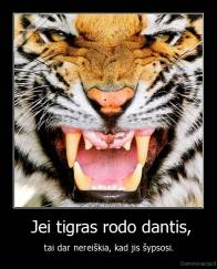  Jei tigras rodo dantis, - tai dar nereiškia, kad jis šypsosi.