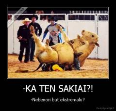 -KA TEN SAKIAI?! - -Nebenori but ekstremalu?