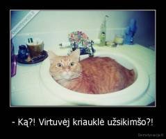 - Ką?! Virtuvėj kriauklė užsikimšo?! - 