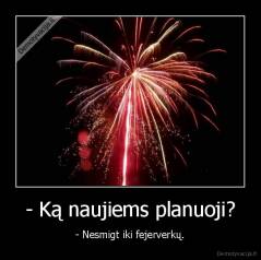 - Ką naujiems planuoji? - - Nesmigt iki fejerverkų.
