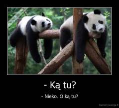- Ką tu? - - Nieko. O ką tu?