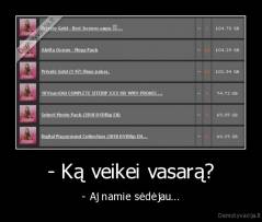 - Ką veikei vasarą? - - Aj namie sėdėjau...