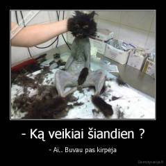 - Ką veikiai šiandien ? - - Ai.. Buvau pas kirpėja