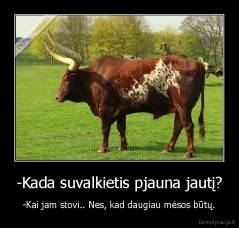 -Kada suvalkietis pjauna jautį? - -Kai jam stovi.. Nes, kad daugiau mėsos būtų.