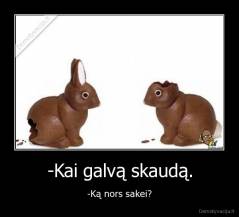 -Kai galvą skaudą. - -Ką nors sakei?