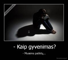  - Kaip gyvenimas? -  - Musėms patiktų...