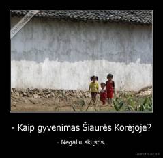 - Kaip gyvenimas Šiaurės Korėjoje? - - Negaliu skųstis.