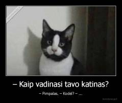 – Kaip vadinasi tavo katinas? - – Pimpalas. – Kodėl? – ...