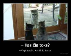 – Kas čia toks? - – Vagis turbūt. Matai? Su kauke.