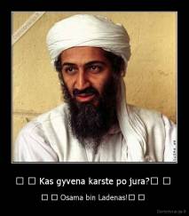 ♫ ♪ Kas gyvena karste po jura?♫ ♪  - ♫ ♪ Osama bin Ladenas!♫ ♪ 