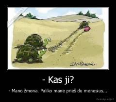 - Kas ji? - - Mano žmona. Paliko mane prieš du mėnesius...