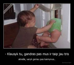 - Klausyk tu, gandras pas mus ir taip jau tris - atnešė, varyk geriau pas kaimynus..
