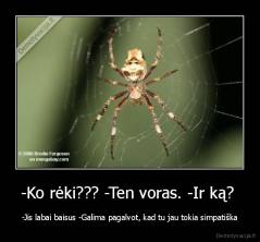 -Ko rėki??? -Ten voras. -Ir ką?  - -Jis labai baisus -Galima pagalvot, kad tu jau tokia simpatiška