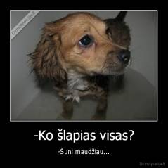 -Ko šlapias visas? - -Šunį maudžiau...