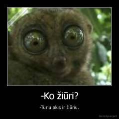 -Ko žiūri? - -Turiu akis ir žiūriu.