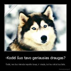 -Kodėl šuo tavo geriausias draugas? - -Todėl, nes šuo niekada nepaliks tavęs, ir visada, kai tau reikia bus šalia.