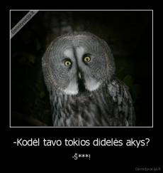 -Kodėl tavo tokios didelės akys? - -Š***!