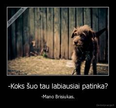 -Koks šuo tau labiausiai patinka? - -Mano Brisiukas.