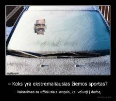 – Koks yra ekstremaliausias žiemos sportas? - – Vairavimas su užšalusiais langais, kai vėluoji į darbą.