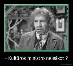 - Kultūros ministro neieškot ? - 
