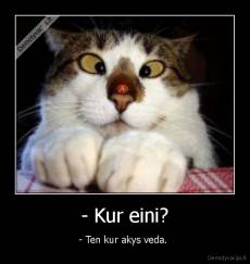 - Kur eini? - - Ten kur akys veda. 