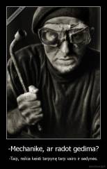 -Mechanike, ar radot gedima? - -Taip, reikia keisti tarpynę tarp vairo ir sedynės.