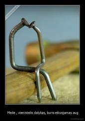  Meilė , vienintelis dalykas, kuris eikvojamas aug - 